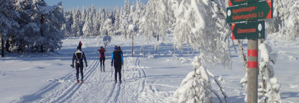 Ski på Topp